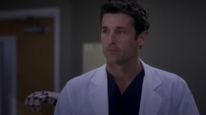 Derek Shepherd
