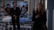 15x06DerekShepherd