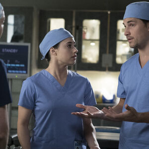 Sam Bello Grey S Anatomy Universe Wiki Fandom