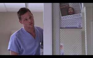 Alex Karev