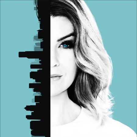 Season 13 Grey S Anatomy Grey S Anatomy Universe Wiki Fandom