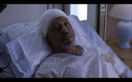 Richard Webber