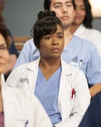 21x14-13.jpg (118 kB)