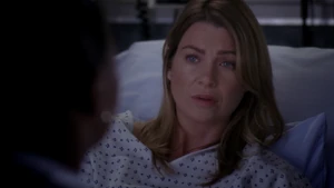Meredith Grey