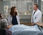 15x20-20.jpg (2.51 MB)