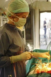 13x08-12.jpg (37 KB)