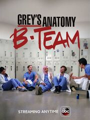 GreysAnatomyBTeam.jpeg