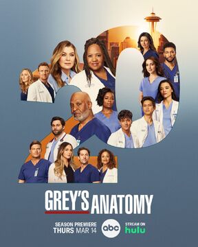 Season 20 Grey s Anatomy Grey s Anatomy Universe Wiki Fandom