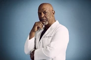 James Pickens, Jr. como Richard Webber