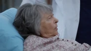 Old Lady