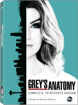 GreysAnatomyS13DVD