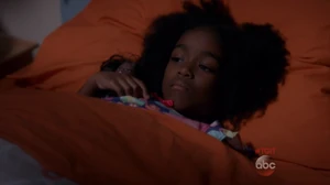 Zola Grey Shepherd