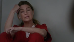 Meredith Grey
