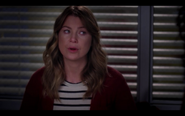 809MeredithGrey