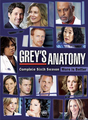 GreysAnatomyS6DVD