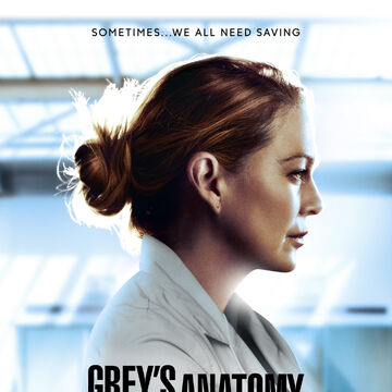 Season 17 Grey S Anatomy Grey S Anatomy Universe Wiki Fandom
