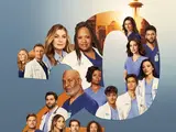 Temporada 20 (Grey's Anatomy)