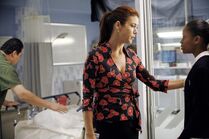 PP1x05-8.jpg (354 KB)