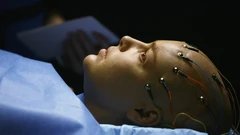 5x23-18.jpg (37 KB)