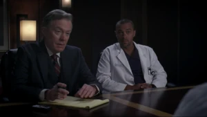 Lawyer and Jackson Avery