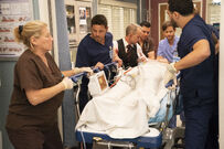 15x13-5.jpg (1.8 MB)