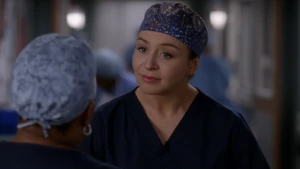 Amelia Shepherd