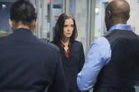 PP3x08-1.jpg (252 KB)