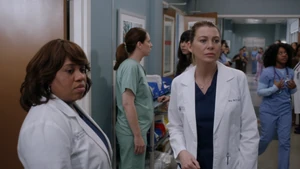 Meredith Grey