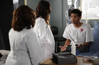 16x13-12.jpg (6.08 MB)