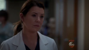 Meredith Grey