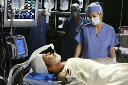 Watch greys anatomy season 5 episode 24