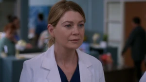 Meredith Grey