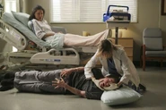 4x16-24.jpg (94 kB)
