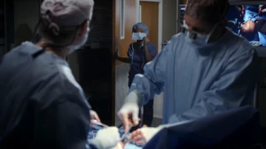 Could We Start Again, Please?