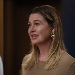 Grey's anatomy full episodes free store