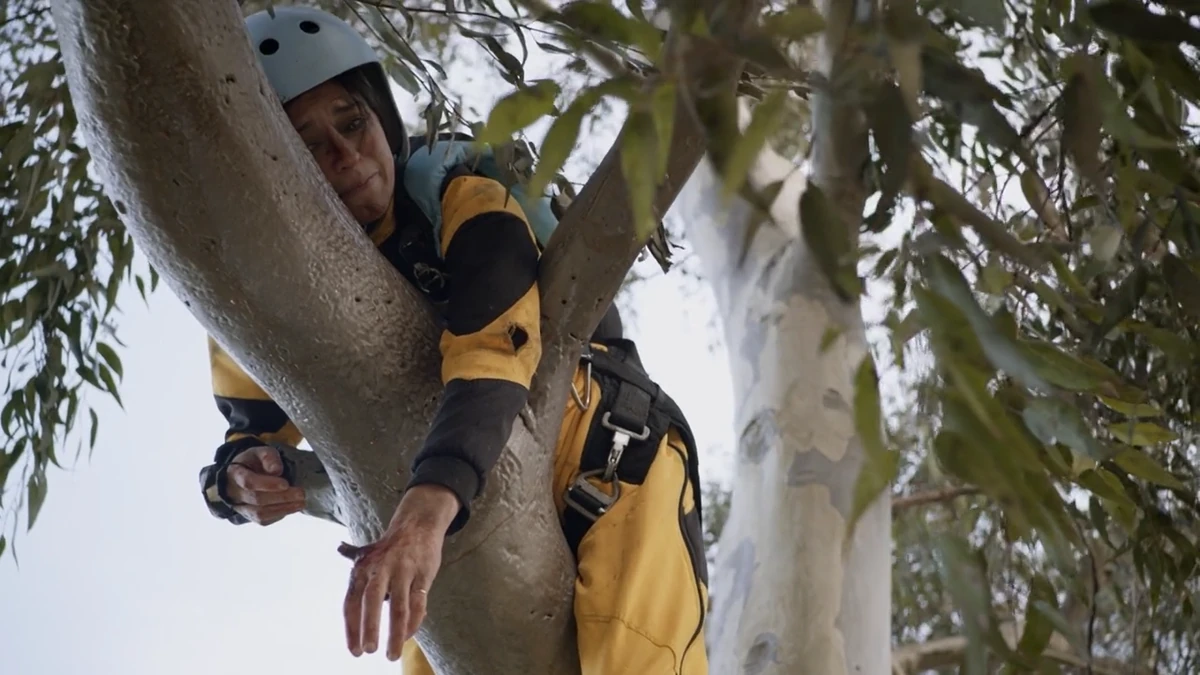 Sam | Grey's Anatomy Universe Wiki | Fandom