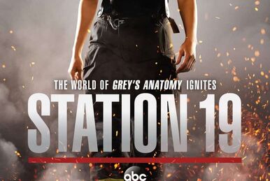 Station 19 (season 3) - Wikipedia