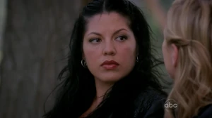 Callie Torres
