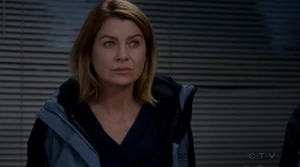 Meredith Grey