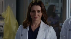 Amelia Shepherd