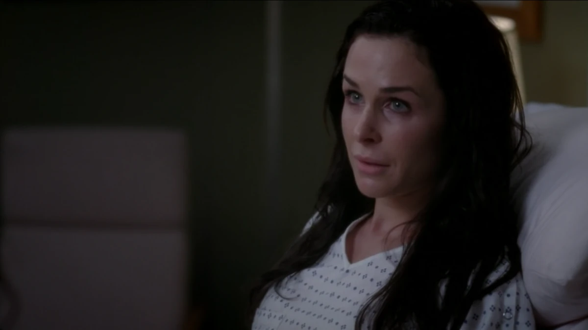 Liz Langer | Grey's Anatomy Universe Wiki | Fandom