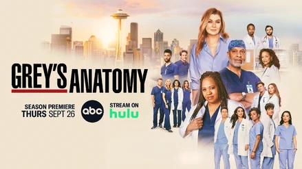 GreysAnatomySeason21Banner.jpg (2.84 MB)