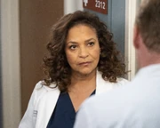 15x20-10.jpg (2.29 MB)