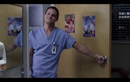 Alex Karev