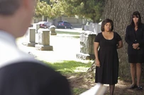 6x01-14.jpg (339 KB)