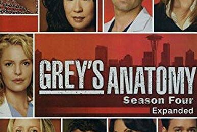 Grey's Anatomy (7.ª temporada) – Wikipédia, a enciclopédia livre