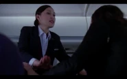 Fight Attendant