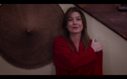 307MeredithGrey