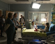 15x24BTS2