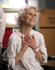 16x13-31.jpg (6.69 MB)